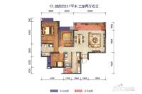 蓝光圣菲悦城3室2厅2卫117㎡户型图