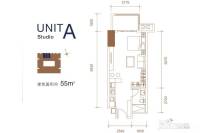 成都ICC天峻1室1厅1卫55㎡户型图