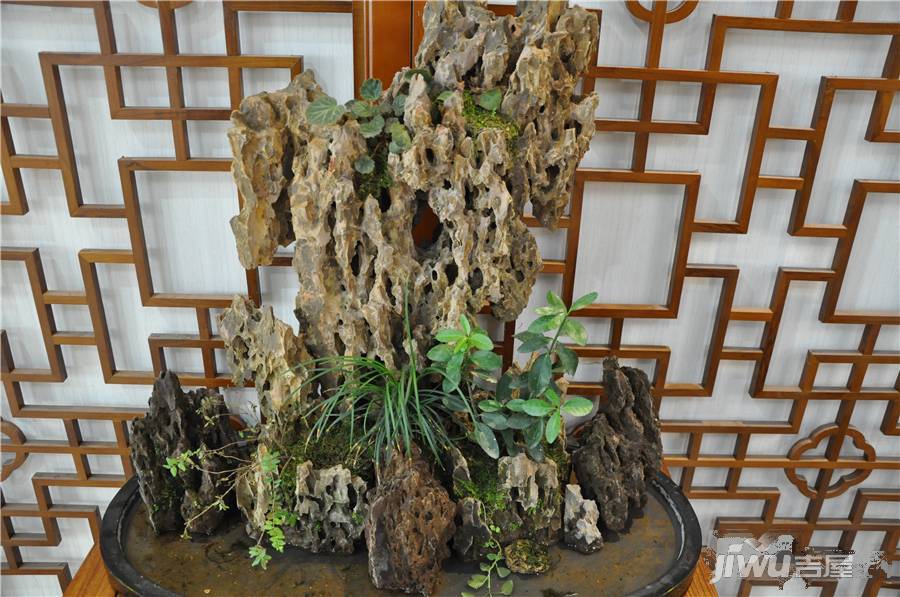 中国观赏石博览园售楼处图片