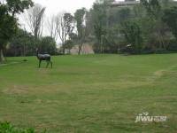 约克郡景悦实景图图片