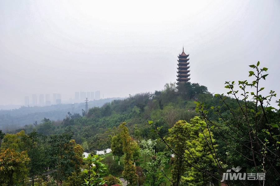 世茂茂悦府配套图图片