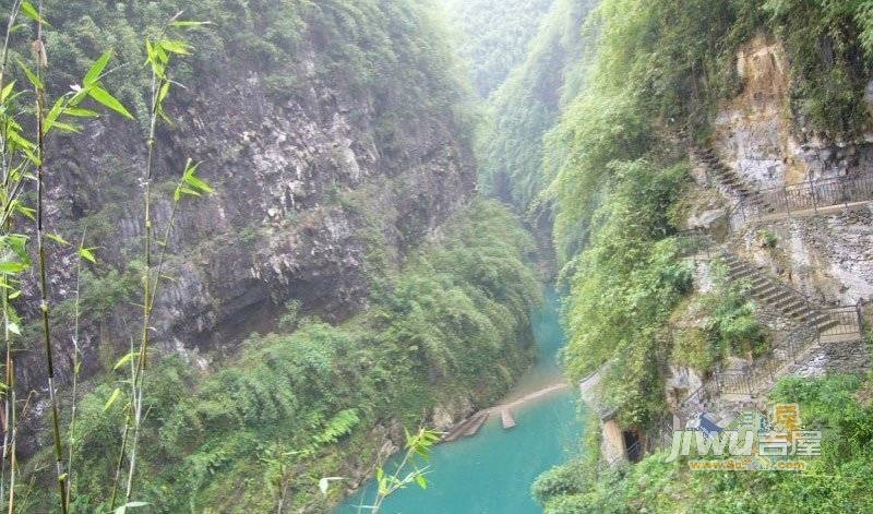 隆鑫花漾的山谷三期实景图12