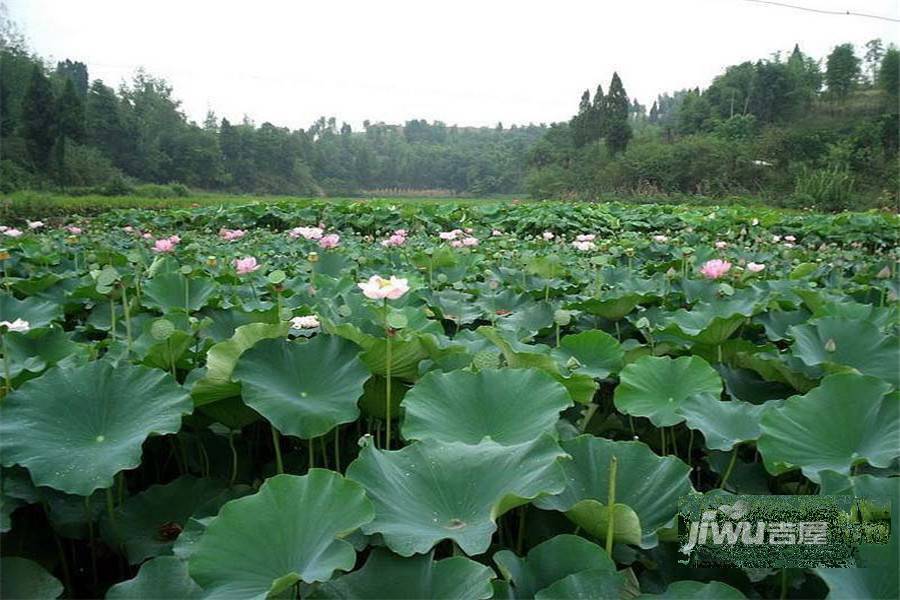 黄水林湖郡配套图图片