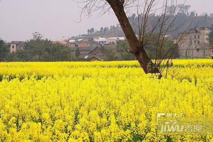 潼南龙乡苑铜新花园配套图图片