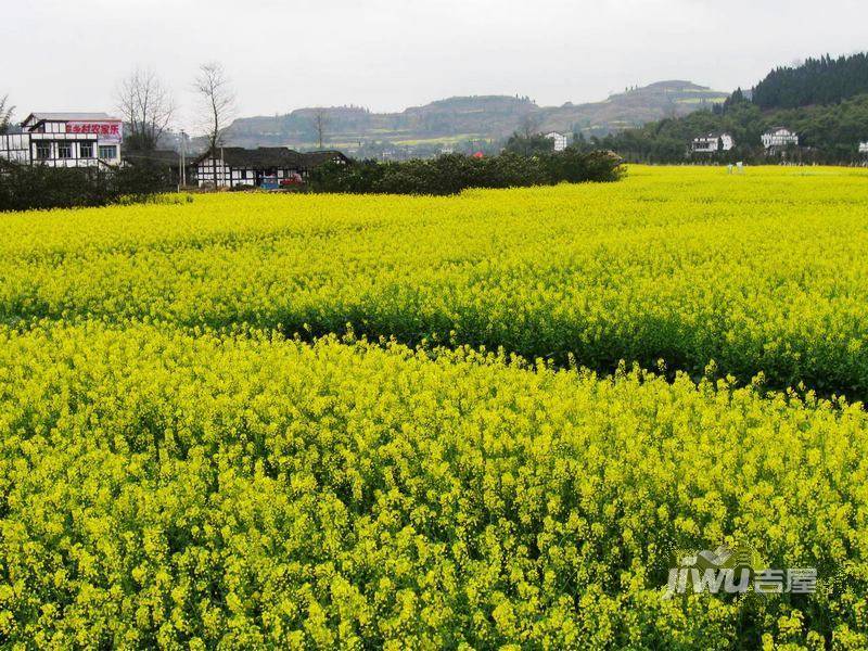 潼南龙乡苑铜新花园配套图图片