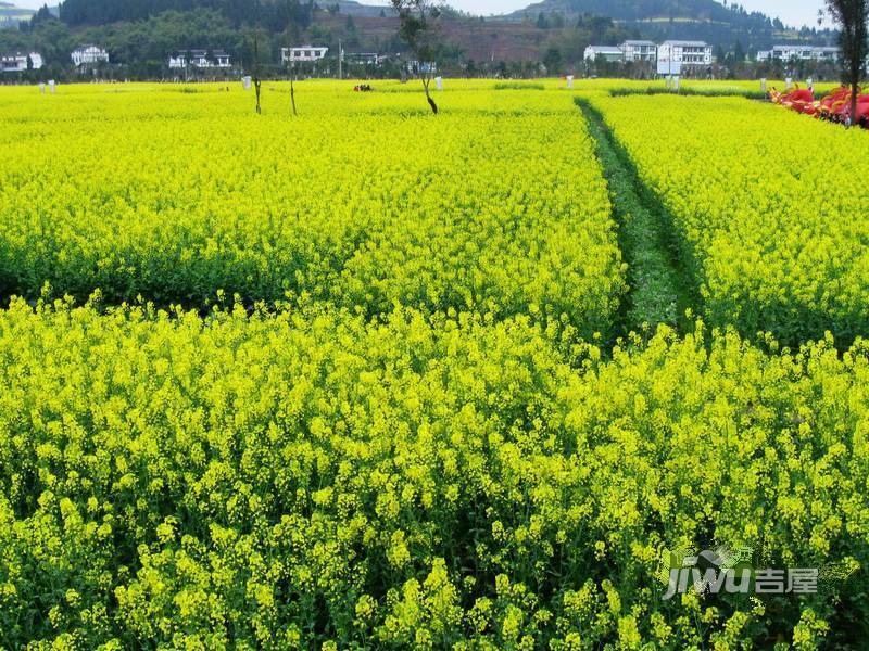 潼南龙乡苑铜新花园配套图图片