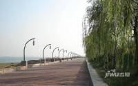 泰吉滨江二期岭澜实景图图片