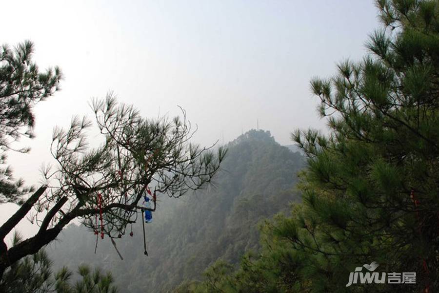 旅文中央大街配套图图片