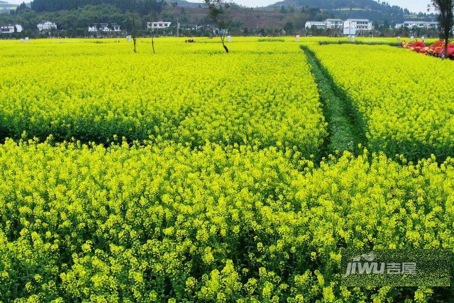 潼南云廷檀香山配套图图片