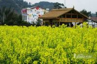 潼南云廷檀香山配套图图片