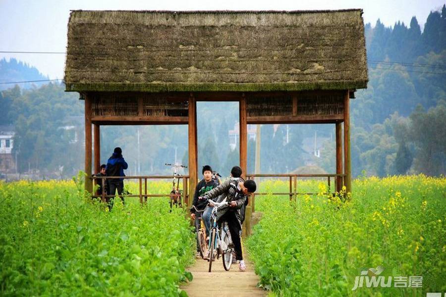 潼南永佳柏林公馆配套图图片