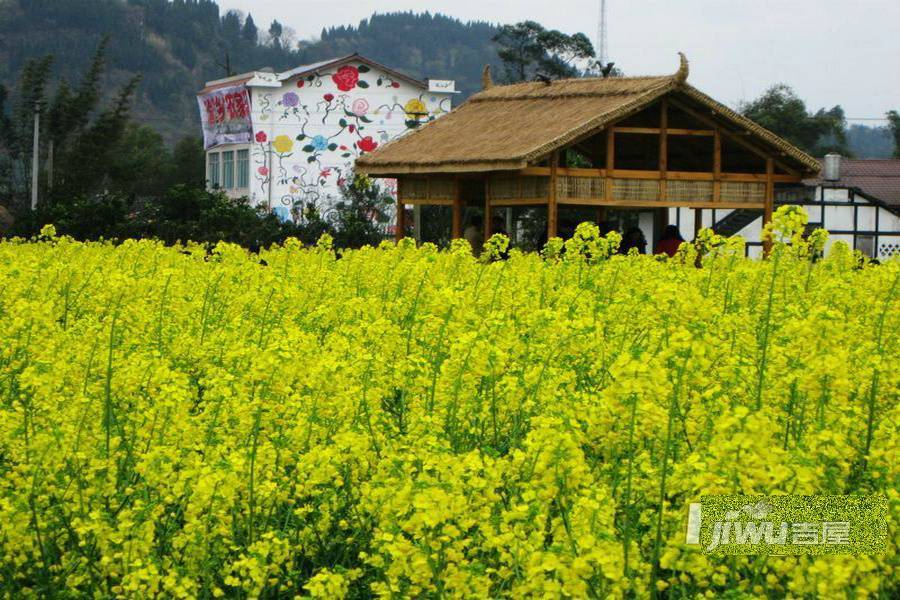 潼南永佳柏林公馆配套图图片