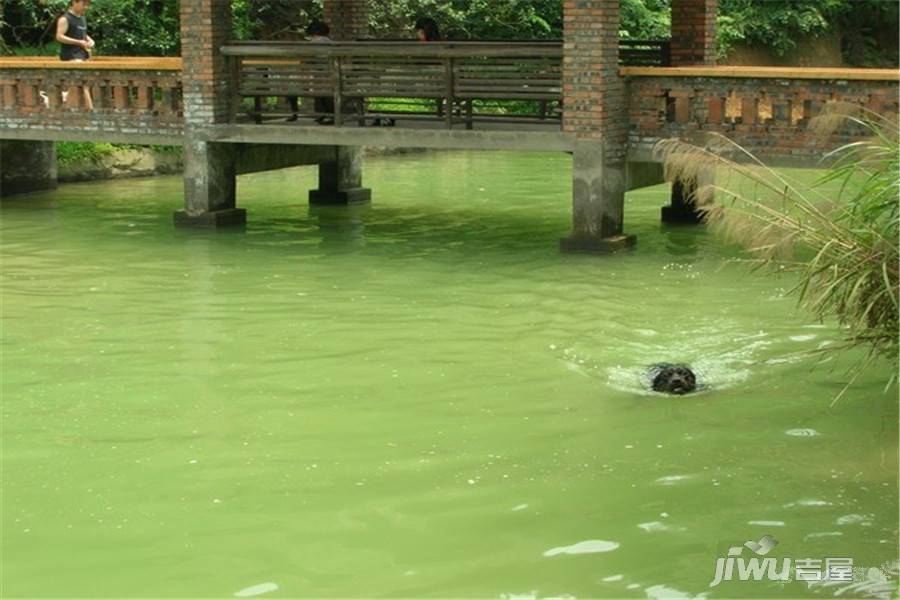 北大资源江山名门江山荟配套图图片