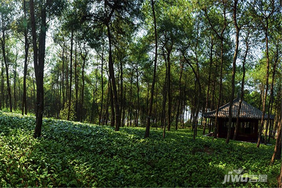 北大资源江山名门江山荟配套图图片