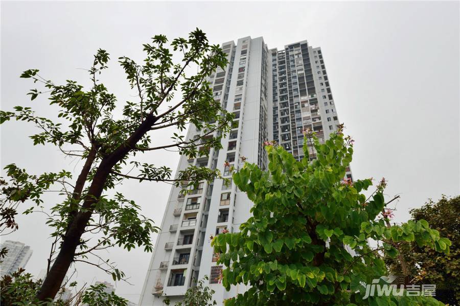 斌鑫鼎航雅座实景图图片
