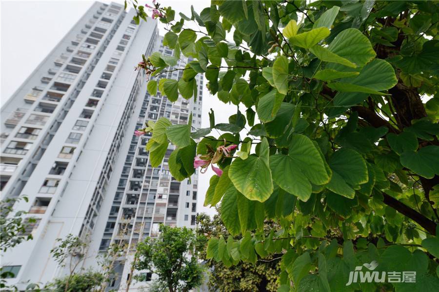 斌鑫鼎航雅座实景图图片