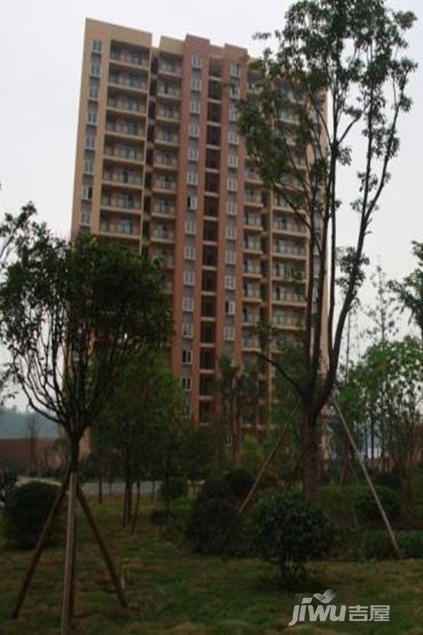 耀文枫林郡实景图图片