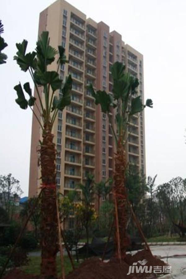 耀文枫林郡实景图图片