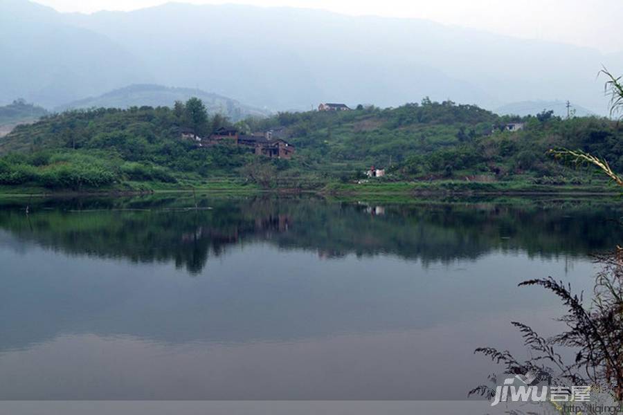 上实海上海实景图图片