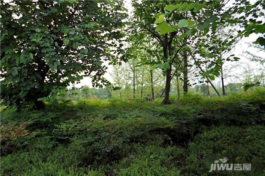 鹏润鹿山台配套图图片