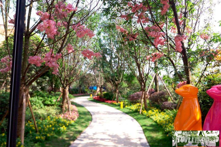 东邦小悦湾实景图图片