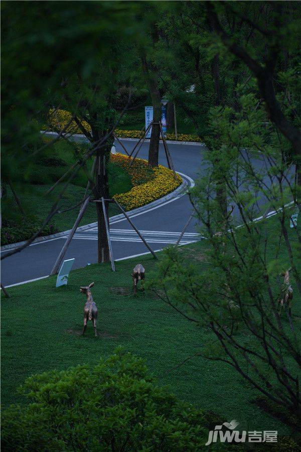 蓝光林肯公园实景图图片