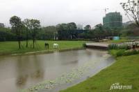 康田蔚蓝海实景图图片