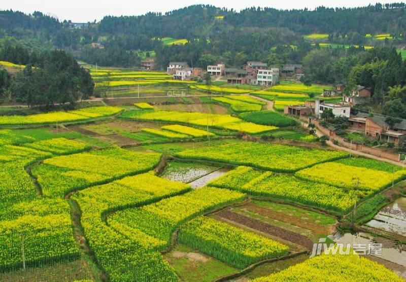 潼南龙乡苑铜新花园配套图图片