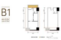 皇马骊宫1室1厅1卫40.3㎡户型图