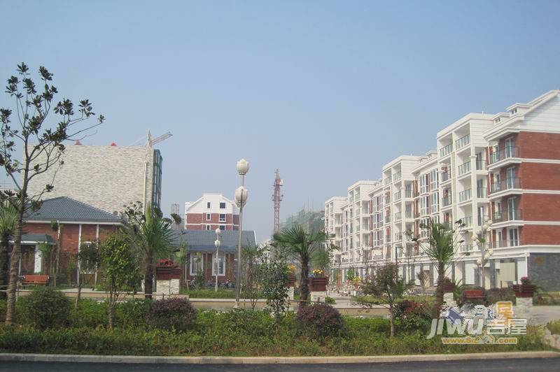 大自然花园实景图图片