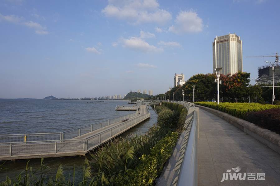 广电南楼实景图图片