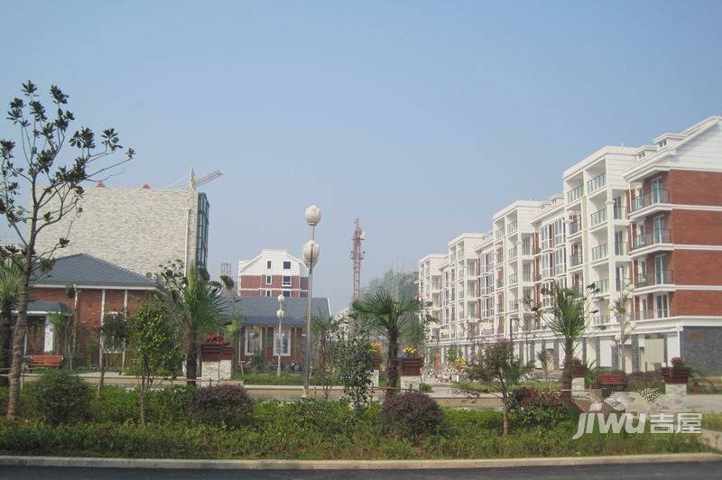 大自然花园实景图图片