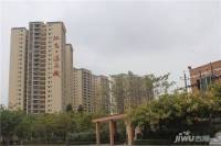 阳西温泉城实景图图片