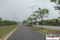 江苏软件园宁丹路以西地块实景图图片