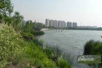 璟湖国际实景图图片
