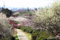 芳草名苑位置交通图图片