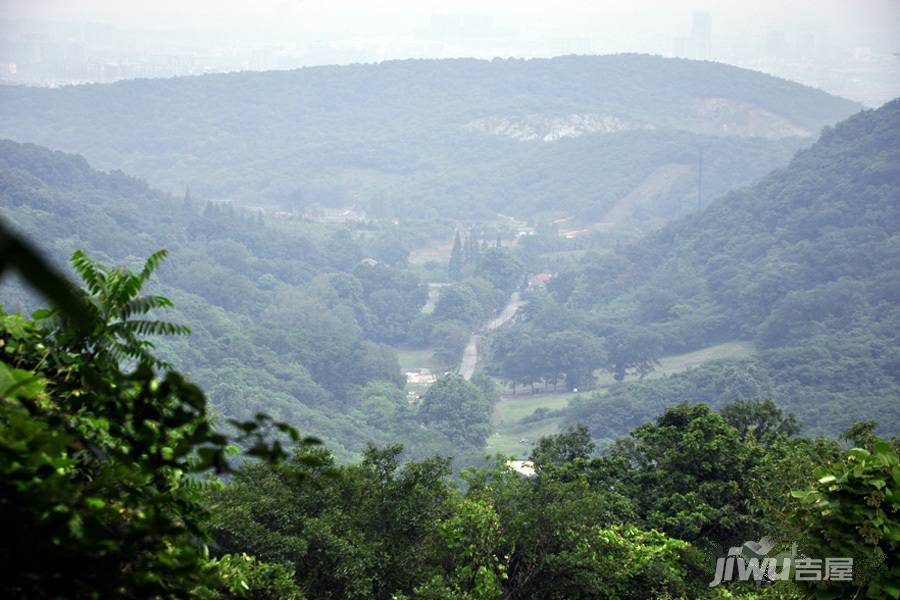 金地格林格林实景图图片