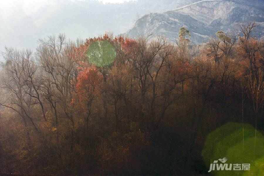 新城花漾紫郡位置交通图图片