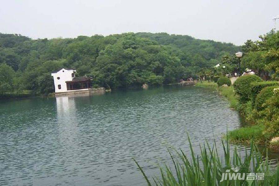 美麟香漫山实景图图片