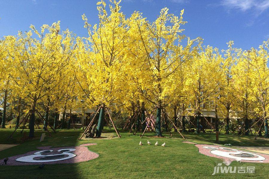 恒大龙珺实景图图片