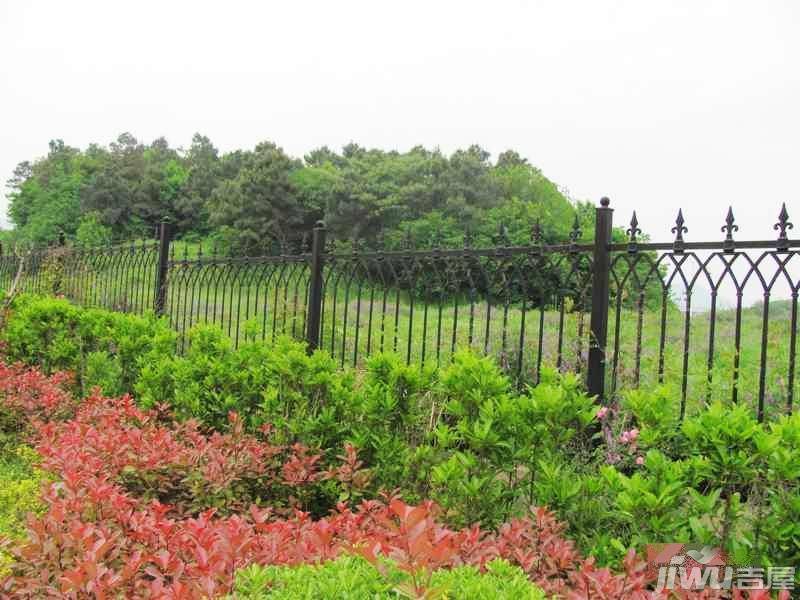 雨山美地实景图图片