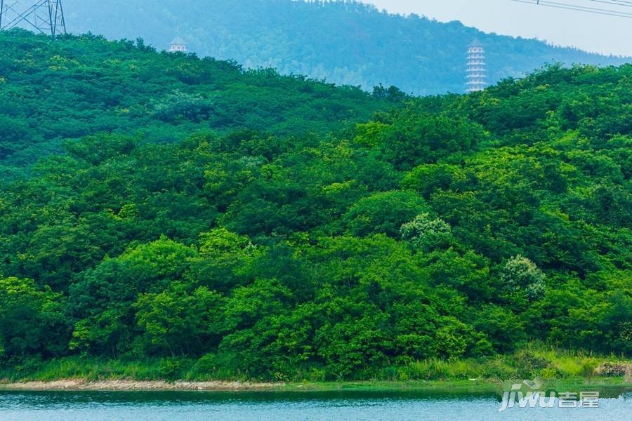 瑞安翠湖山实景图图片