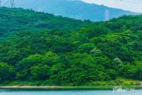 瑞安翠湖山实景图11