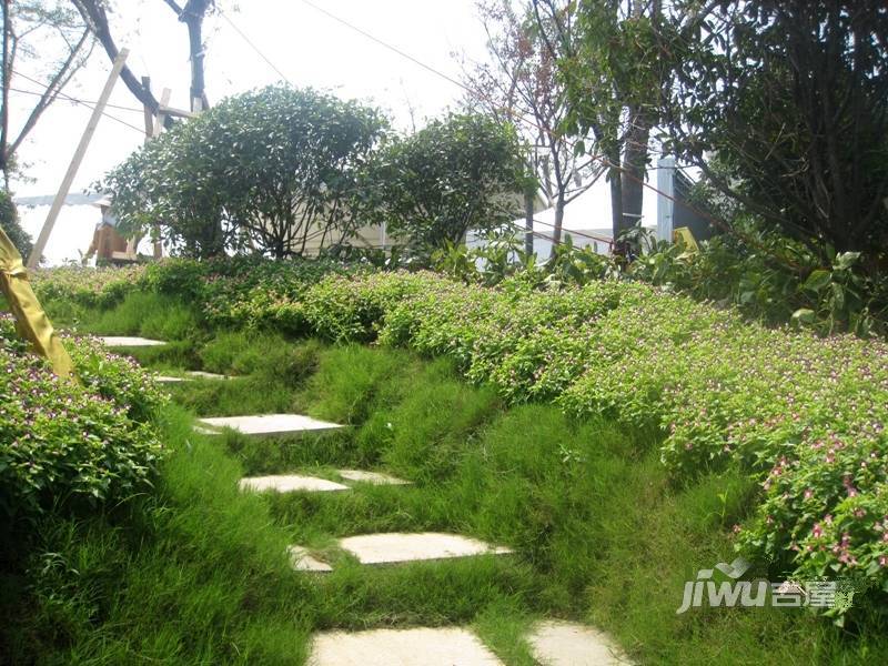 骋望怡峰花园实景图图片