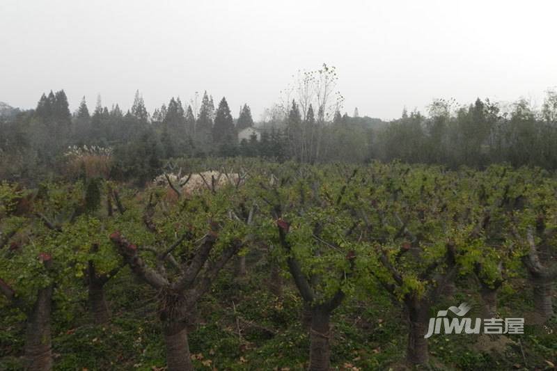 中海万锦熙岸配套图图片