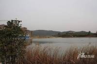卧龙湖小镇实景图图片