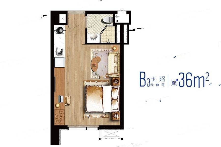 云树公馆1室1厅1卫36㎡户型图