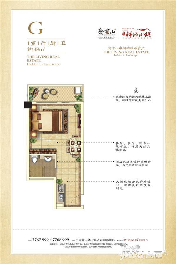 齐云山祥源小镇1室1厅1卫48㎡户型图