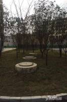桂泉花园实景图图片