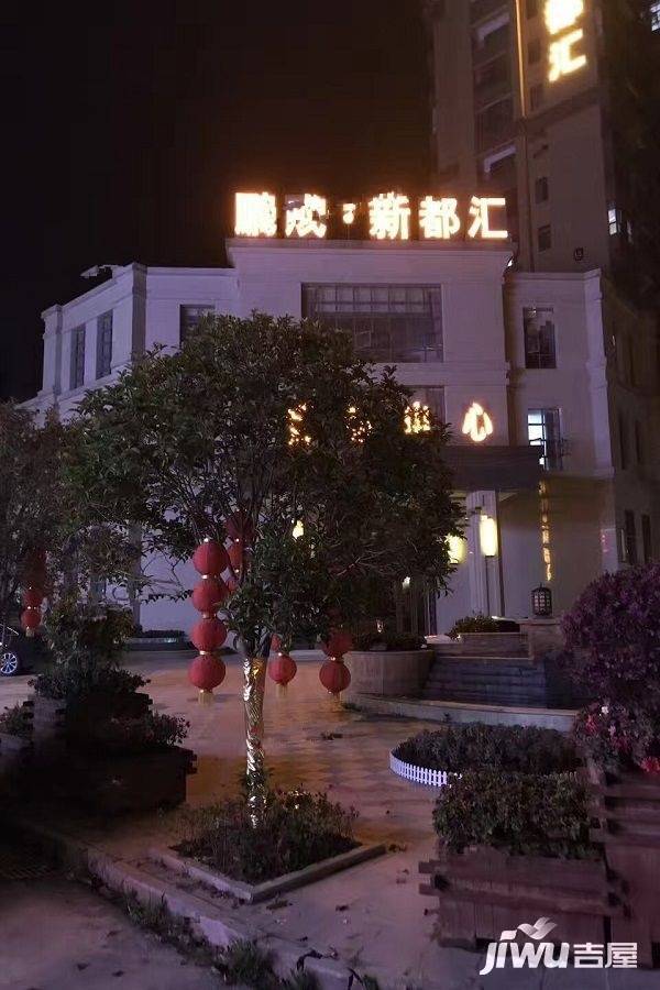 鹏成新都汇实景图图片